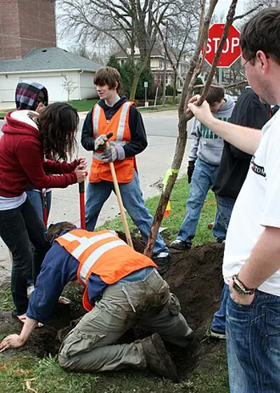 0 arbor day poland 10 10