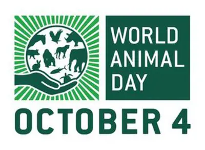 0 world animal day 10 04