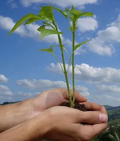 0 world environment day international 06 05