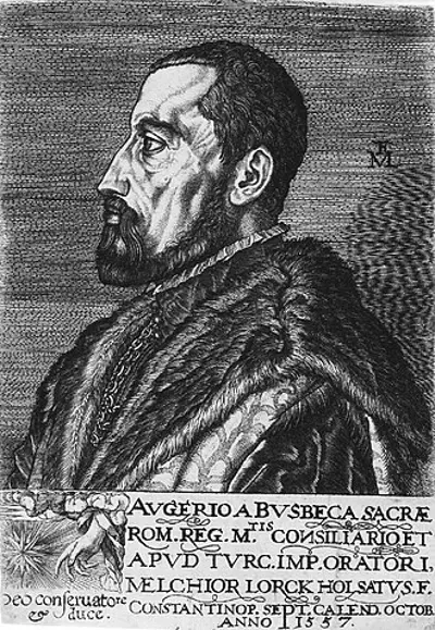 1592 ogier ghiselin de busbecq flemish diplomat 10 28