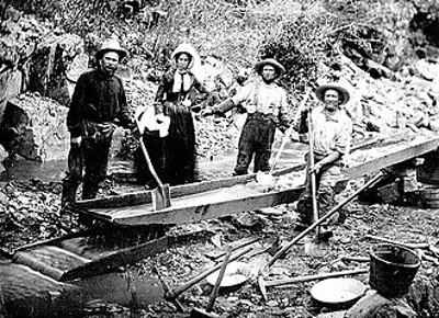 1848 california gold rush the new york herald breaks the news to 08 19