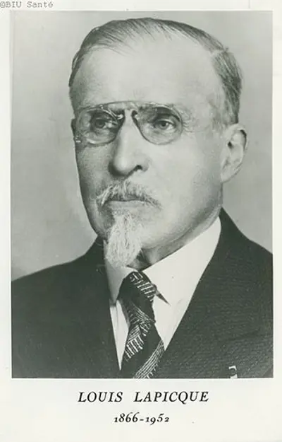 1866 louis lapicque french neuroscientist known for the integrat 08 01
