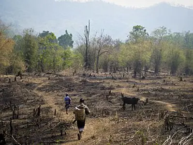 1871 slash and burn land management months of drought and the p 10 08