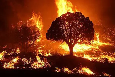 1933 loggers cause a forest fire in the coast range of oregon la 08 14