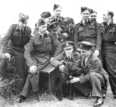 1943 nigger black labrador retriever belonging to wing commander 05 16