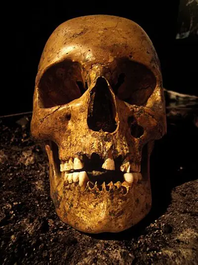 1943 the luttra woman skull pictured a bog body from the early 05 20