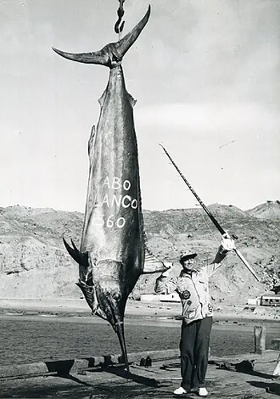 1953 alfred c. glassell jr