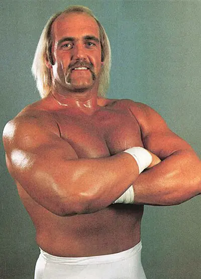 1953 hulk hogan american professional wrestler died 2025 08 11