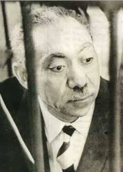 1966 leading egyptian thinker sayyid qutb is executed for plottin 08 29