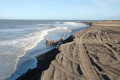 1988 near point barrow in alaska an inupiat hunter discovered th 10 07