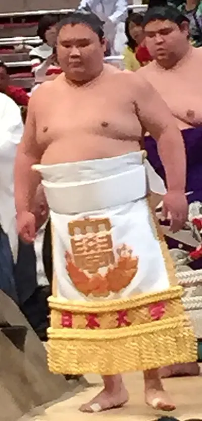 1991 daishomaru shogo japanese sumo wrestler 07 10