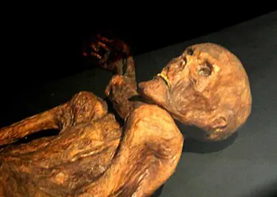 1991 otzi a well preserved natural mummy of a man dating from ab 09 19