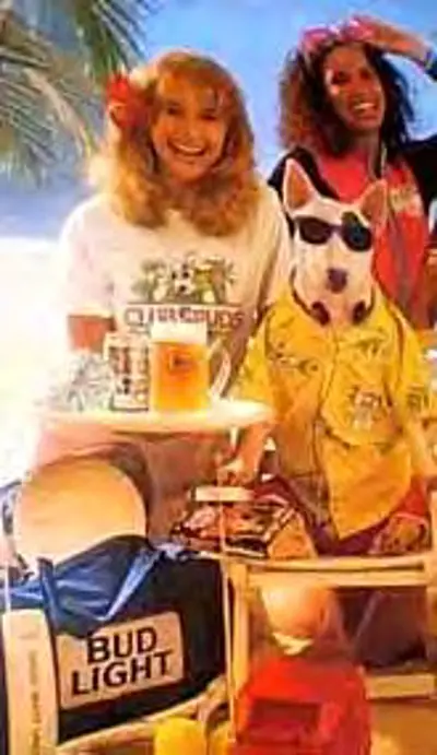 1993 honey tree evil eye or spuds mackenzie bud light bull ter 05 31