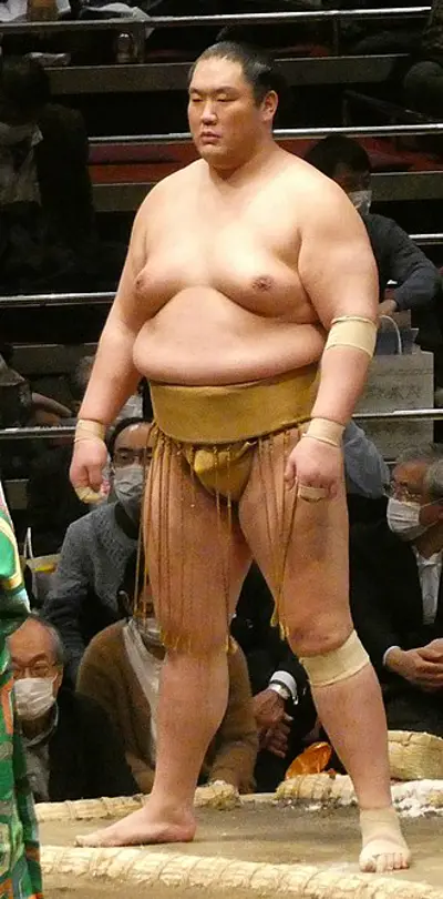 1994 kagayaki taishi japanese sumo wrestler 06 01