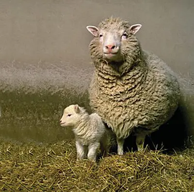 1996 dolly the sheep becomes the first mammal cloned from an adul 07 05
