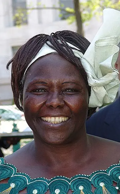 2011 wangari maathai kenyan environmentalist and activist nobel 09 25