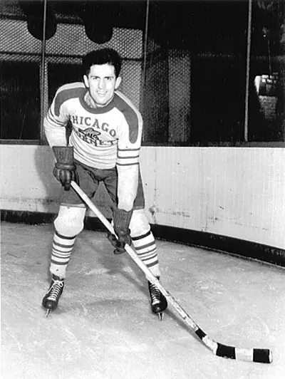 2014 al suomi american ice hockey player and referee born 1913 09 23