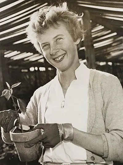 2017 betty cuthbert australian sprinter born 1938 08 06