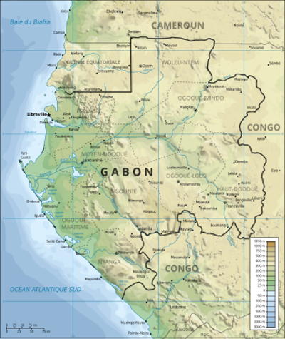 2023 gabonese coup detat after ali bongo ondimbas reelection 08 30