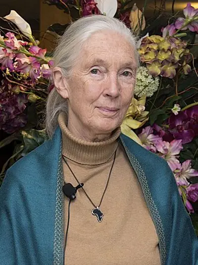 2025 jane goodall english primatologist born 1934 10 01